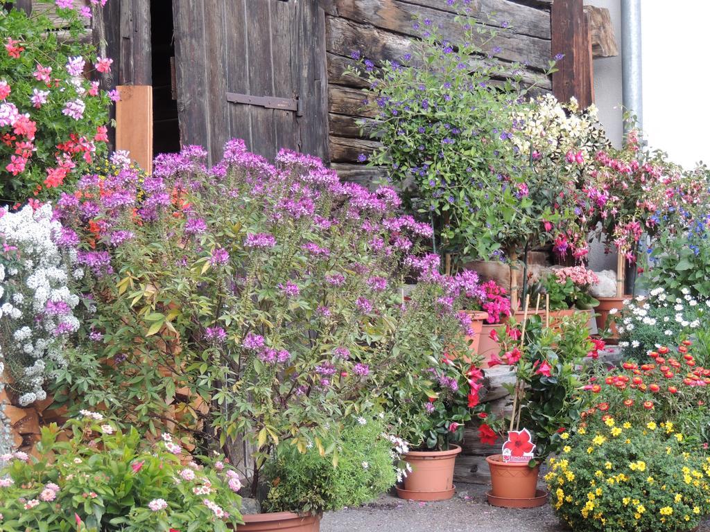 Apartamento Haus Liaun 2 Brienz  Exterior foto